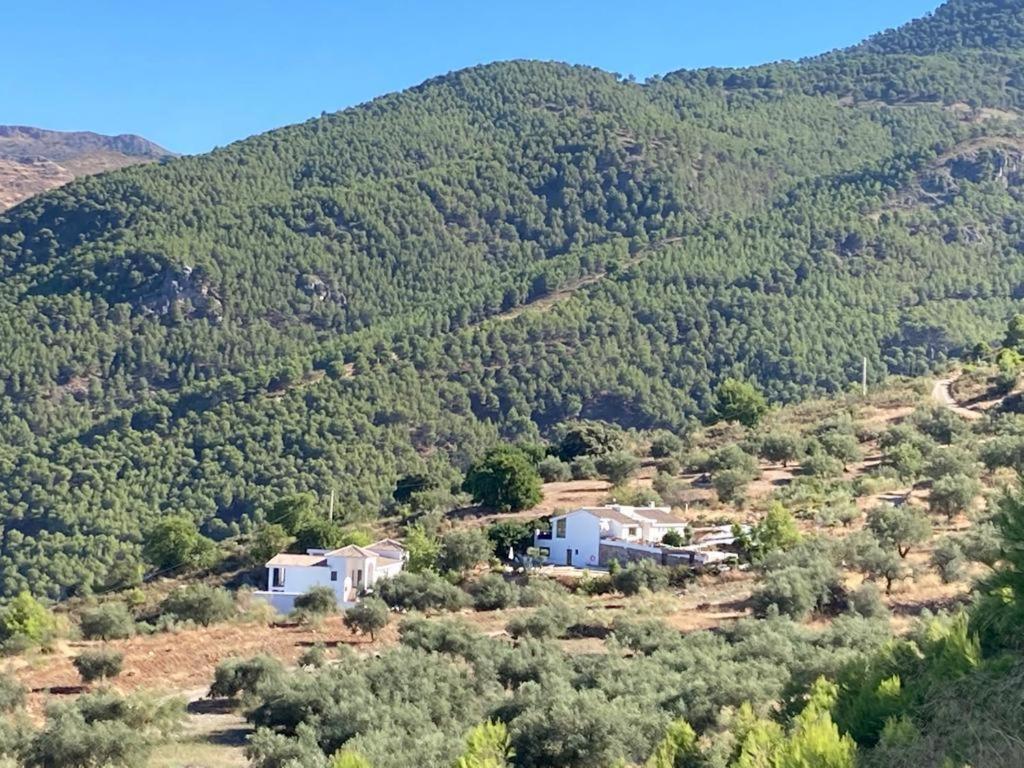 Apartamento La Fuente Alcaucín Kültér fotó